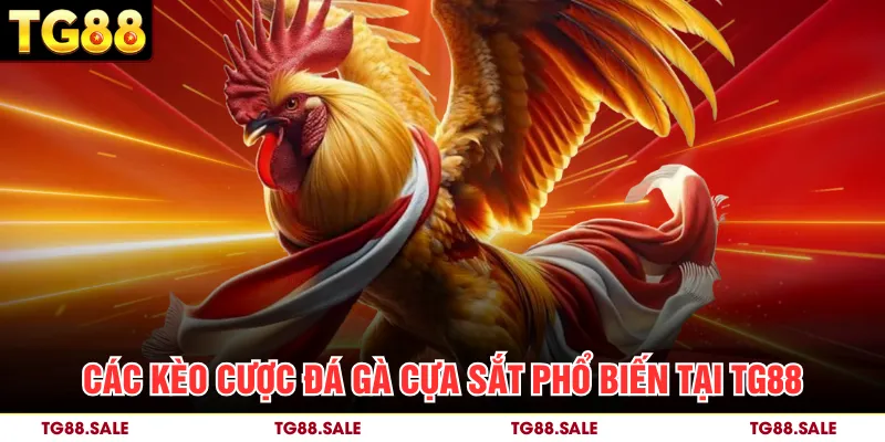 Các yếu tố tạo nên sức hấp dẫn cho đá gà cựa sắt tại TG88