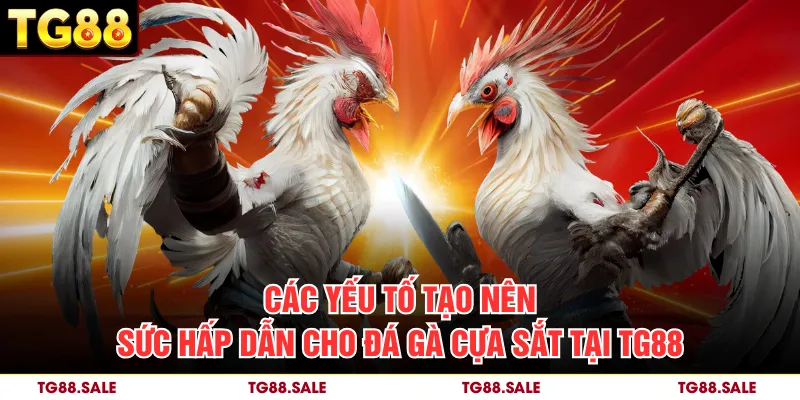 Các kèo cược đá gà cựa sắt phổ biến tại TG88