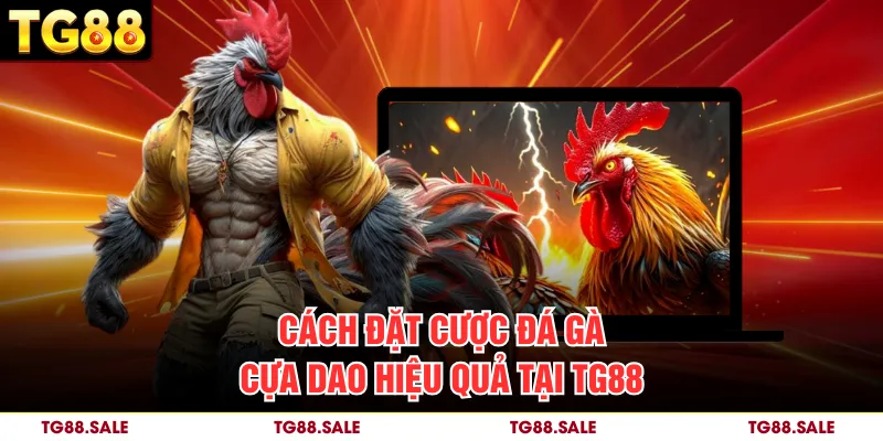 Cách đặt cược đá gà cựa dao hiệu quả tại TG88