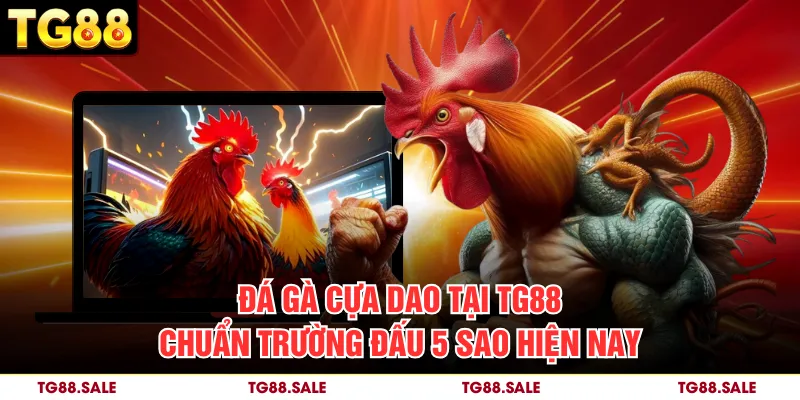 Đá Gà Cựa Dao Tại TG88 Chuẩn Trường Đấu 5 Sao Hiện Nay