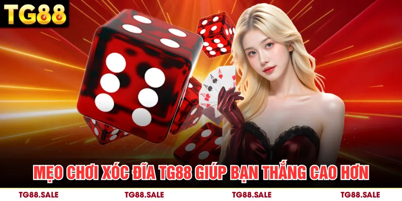 Mẹo chơi xóc đĩa TG88 giúp bạn thắng cao hơn