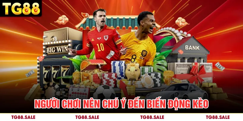 Người chơi nên chú ý đến biến động kèo