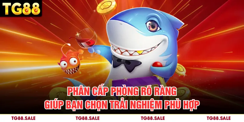 Phân cấp phòng rõ ràng giúp bạn chọn trải nghiệm phù hợp