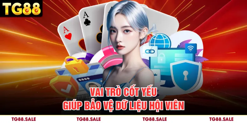 Vai trò cốt yếu giúp bảo vệ dữ liệu hội viên